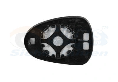 Mirror Glass, exterior mirror (4919838)