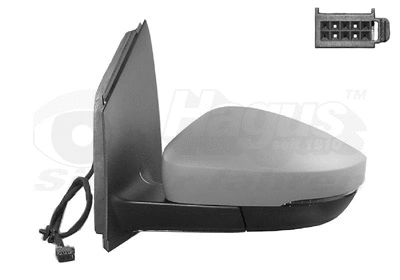 Exterior Mirror (5829817)