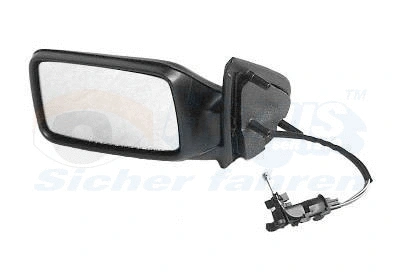 Exterior Mirror (5880803)