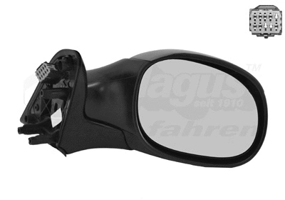 Exterior Mirror (0958828)