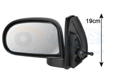 Exterior Mirror (8202804)