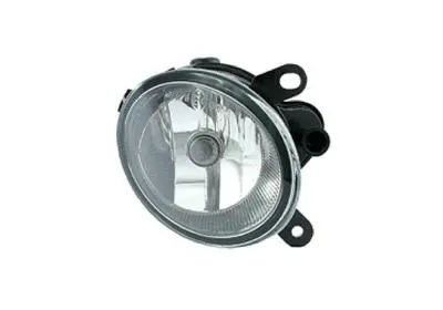 Front Fog Light (0318996)