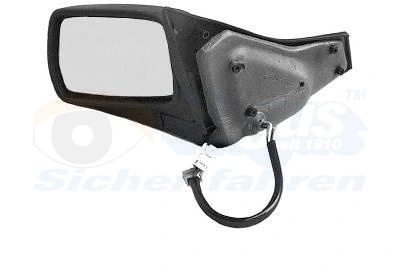 Exterior Mirror (0938817)