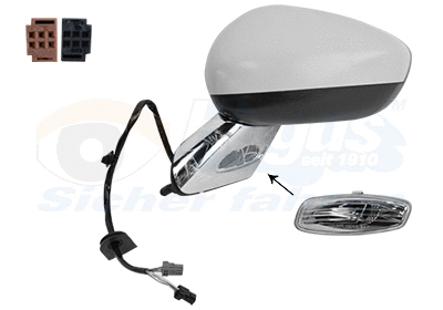 Exterior Mirror (1075817)