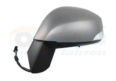 Exterior Mirror (4380827)