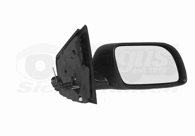 Exterior Mirror (5827804)