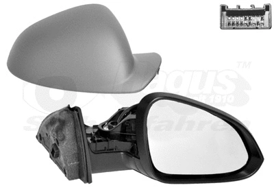 Exterior Mirror (3850818)