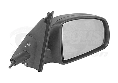 Exterior Mirror (3781804)