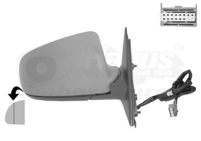 Exterior Mirror (0326818)
