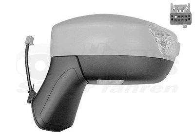 Exterior Mirror (1905817)