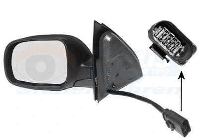 Exterior Mirror (5817807)