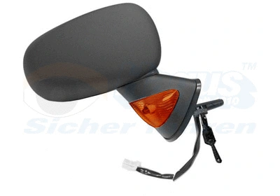 Exterior Mirror (4366804)