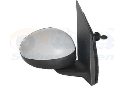 Exterior Mirror (0910814)