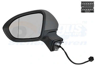 Exterior Mirror (3810807)