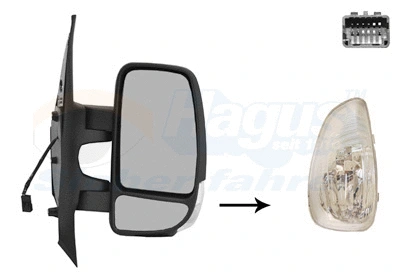 Exterior Mirror (3799818)