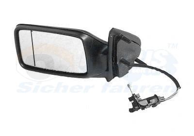 Exterior Mirror (5880813)