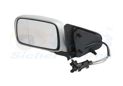 Exterior Mirror (5824804)