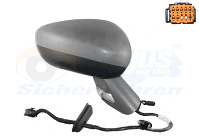 Exterior Mirror (0963808)