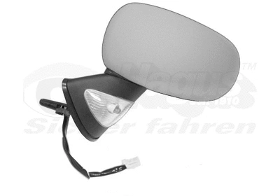 Exterior Mirror (4366827)