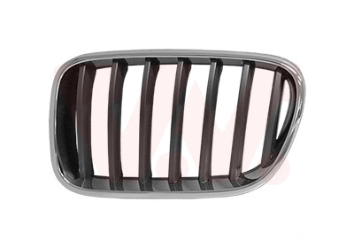 Radiator Grille (0682511)