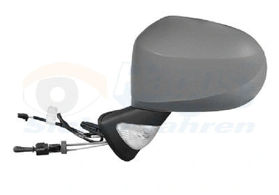 Exterior Mirror (4367813)