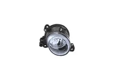 Front Fog Light (3044996)