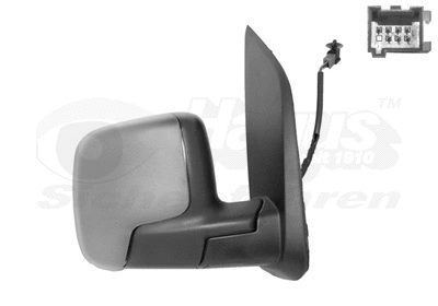 Exterior Mirror (1748818)