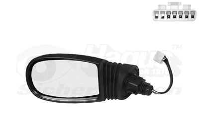 Exterior Mirror (1620805)