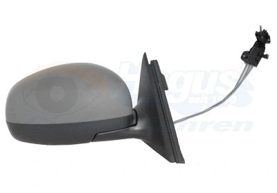 Exterior Mirror (7627804)