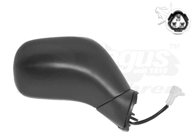 Exterior Mirror (3701806)