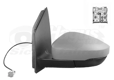 Exterior Mirror (5829827)