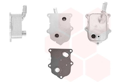 Oil Cooler, engine oil (17013709)