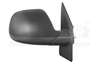 Exterior Mirror (5790804)