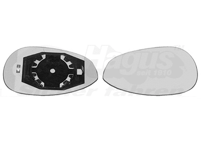 Mirror Glass, exterior mirror (1624837)