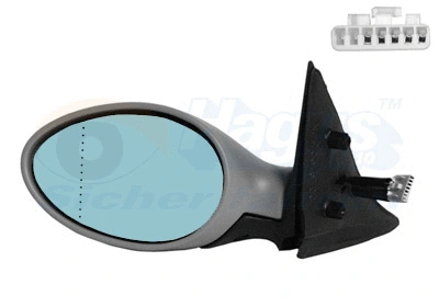 Exterior Mirror (0156827)