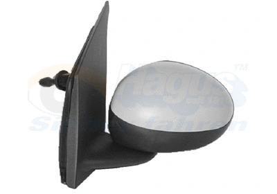 Exterior Mirror (0910813)