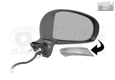 Exterior Mirror (5420818)