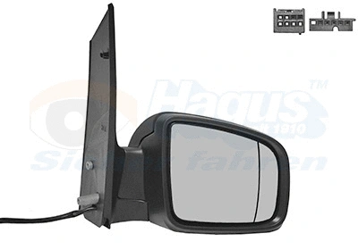 Exterior Mirror (3081818)