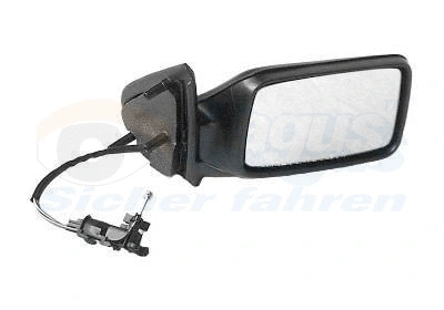 Exterior Mirror (5880804)