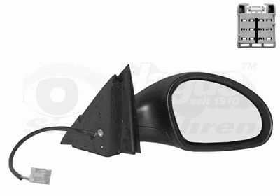 Exterior Mirror (4917808)