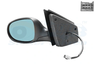 Exterior Mirror (1629807)