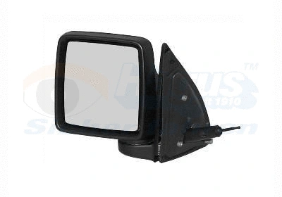 Exterior Mirror (3789804)
