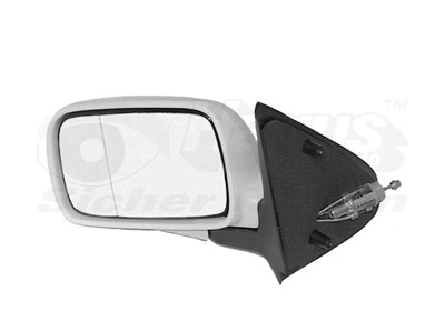 Exterior Mirror (5826803)