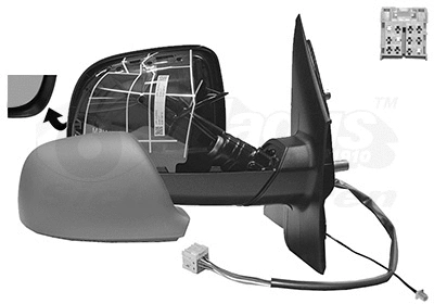Exterior Mirror (5790828)