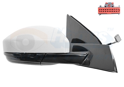 Exterior Mirror (0259808)