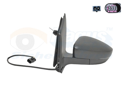 Exterior Mirror (5702813)