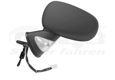 Exterior Mirror (4366823)
