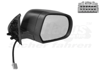 Exterior Mirror (3334808)