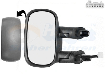 Exterior Mirror (1636807)