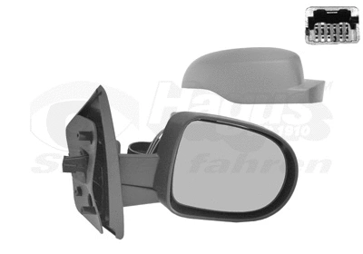 Exterior Mirror (4372818)